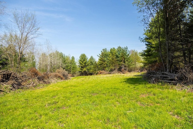 N407 690th St, Peru Twp, WI 54736 - photo 54