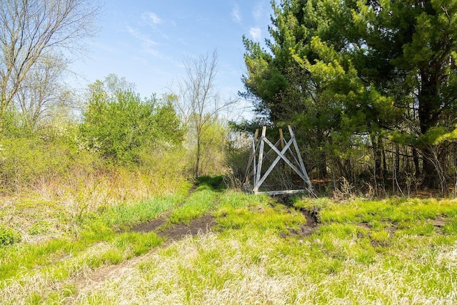 N407 690th St, Peru Twp, WI 54736 - photo 55