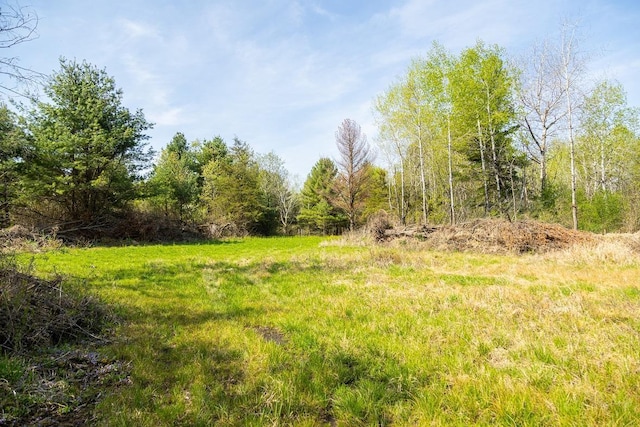 N407 690th St, Peru Twp, WI 54736 - photo 56