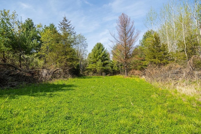 N407 690th St, Peru Twp, WI 54736 - photo 57