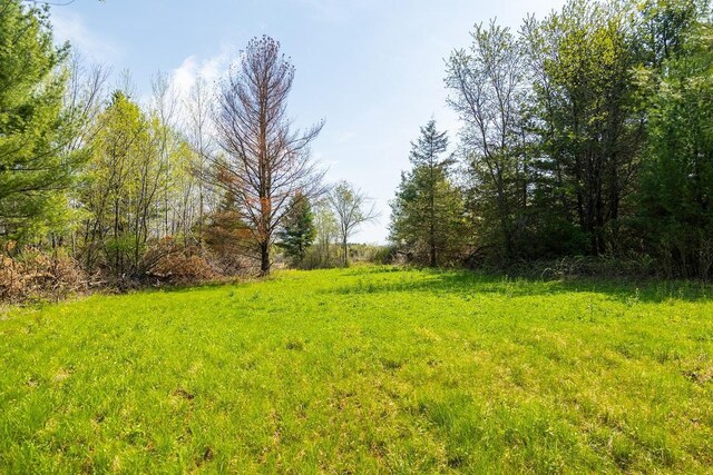 N407 690th St, Peru Twp, WI 54736 - photo 59