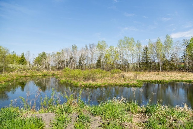 N407 690th St, Peru Twp, WI 54736 - photo 61