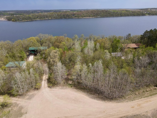 TBD Curly Dr, Leaf Lake Twp, MN 56527