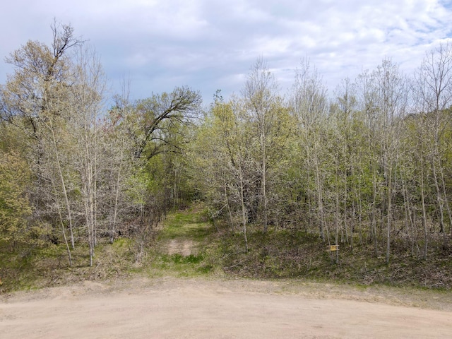 TBD Curly Dr, Leaf Lake Twp, MN 56527