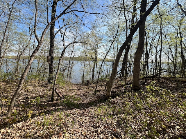 TBD Curly Dr, Leaf Lake Twp, MN 56527