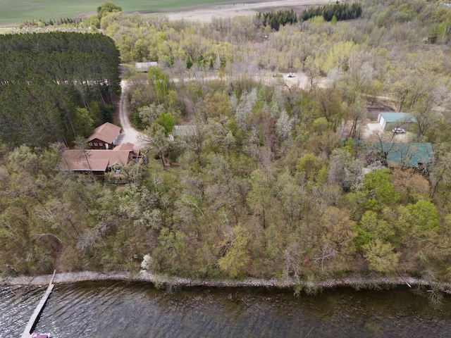 TBD Curly Dr, Leaf Lake Twp, MN 56527