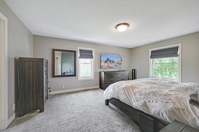 14590 Thicket Ln, Dayton, MN 55327 - bedroom with multiple windows, carpet floors, baseboards, and a textured ceiling