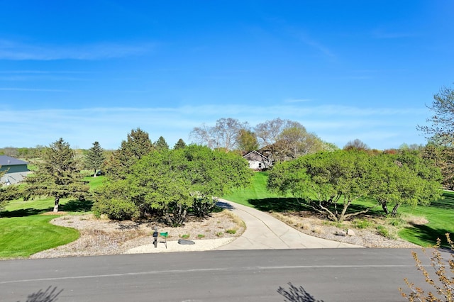 14590 Thicket Ln, Dayton, MN 55327 - view of asphalt road