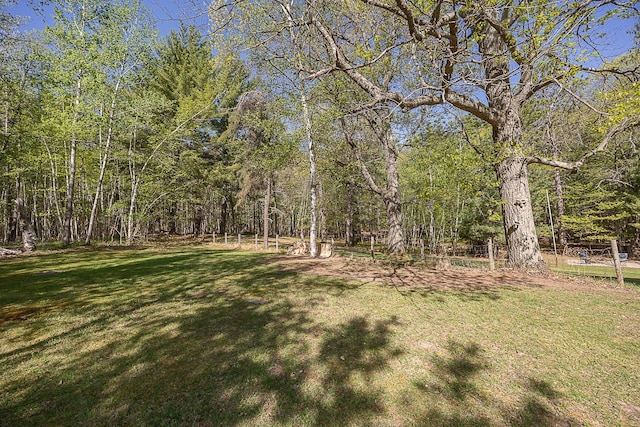 5305 Cisco Ln NE, Remer, MN 56672 - view of grassy yard with a forest view