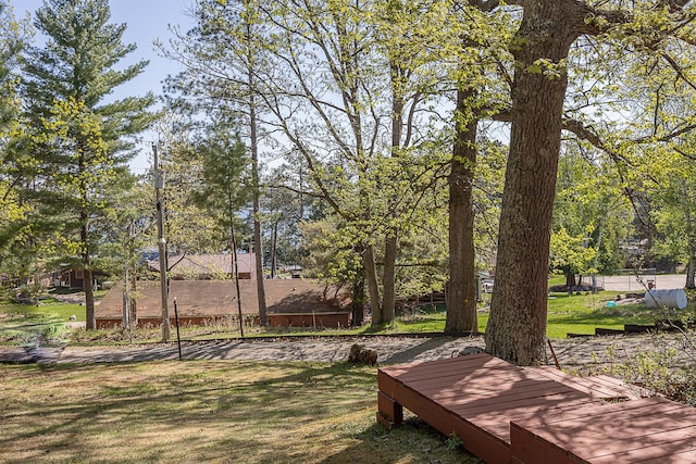 5305 Cisco Ln NE, Remer, MN 56672 - view of grassy yard
