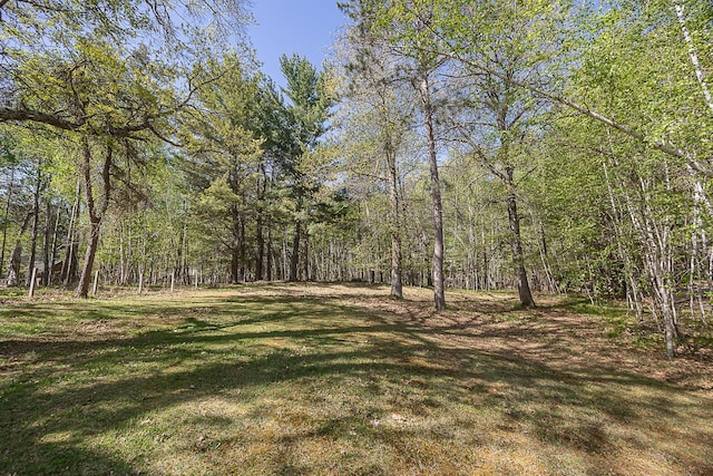 5305 Cisco Ln NE, Remer, MN 56672 - view of grassy yard with a wooded view