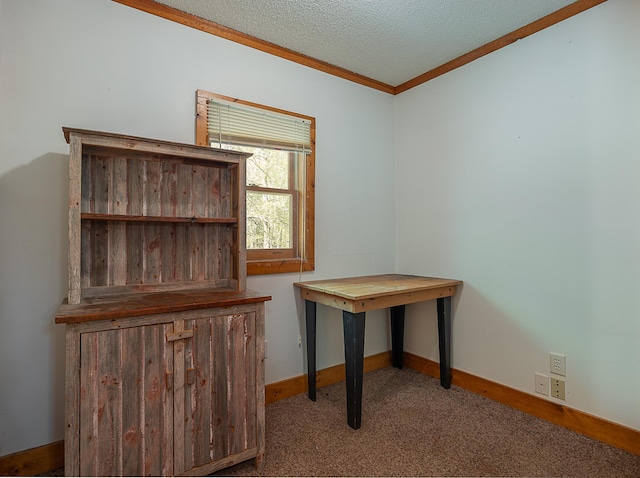 5305 Cisco Ln NE, Remer, MN 56672 - unfurnished office with ornamental molding, carpet floors, baseboards, and a textured ceiling