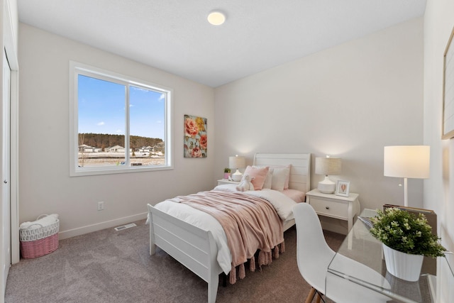7478 170th Ave NW, Ramsey, MN 55303 - carpeted bedroom with baseboards