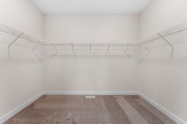 7478 170th Ave NW, Ramsey, MN 55303 - spacious closet with carpet floors