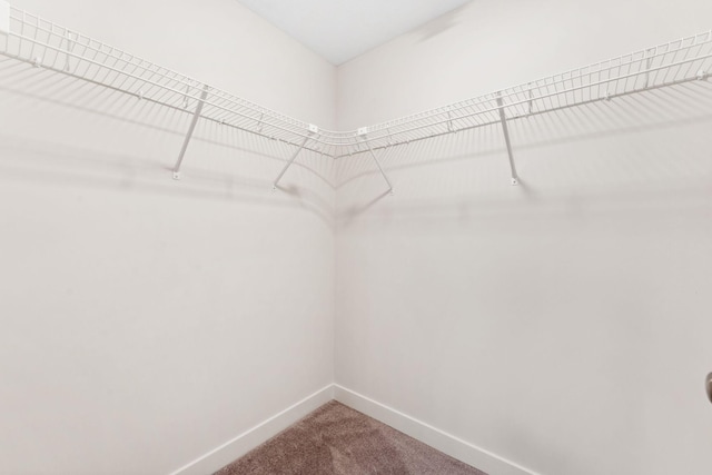 7478 170th Ave NW, Ramsey, MN 55303 - walk in closet with carpet