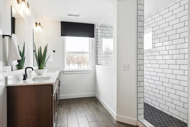 19649 105th Ave, Corcoran, MN 55374 - bathroom featuring a tile shower, double vanity, baseboards, and wood finished floors