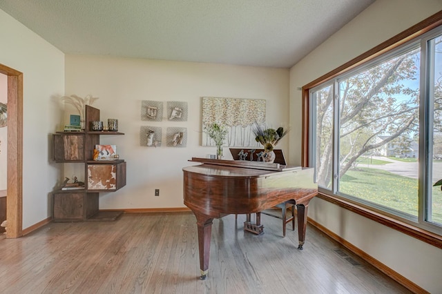 2167 Woodbridge Way, Woodbury, MN 55125 - living area featuring baseboards, plenty of natural light, and wood finished floors