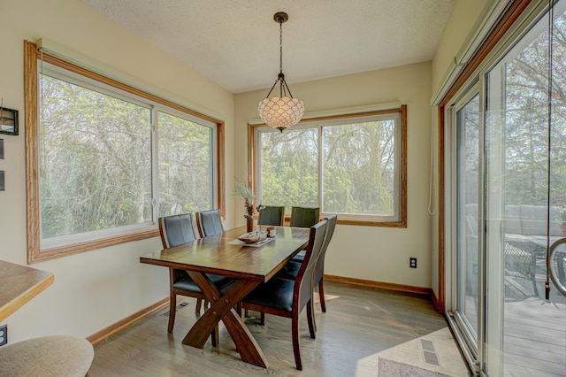 2167 Woodbridge Way, Woodbury, MN 55125 - dining area with plenty of natural light, light wood-style floors, and a textured ceiling