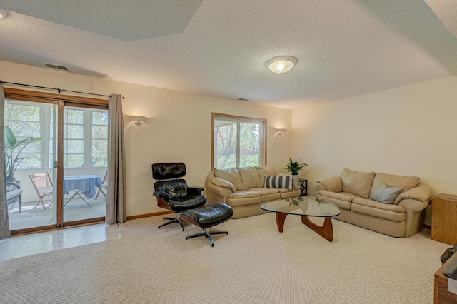 2167 Woodbridge Way, Woodbury, MN 55125 - living area with a textured ceiling, plenty of natural light, carpet flooring, and baseboards