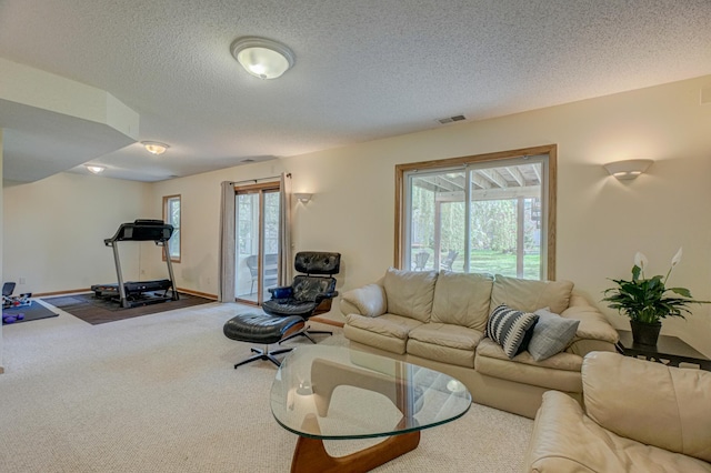 2167 Woodbridge Way, Woodbury, MN 55125 - living area with healthy amount of natural light, carpet flooring, a textured ceiling, and baseboards
