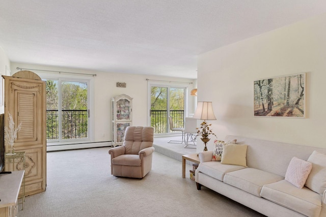 3412 Oak Ridge Rd Unit 317, Minnetonka, MN 55305 - living room featuring baseboard heating, carpet floors, and plenty of natural light