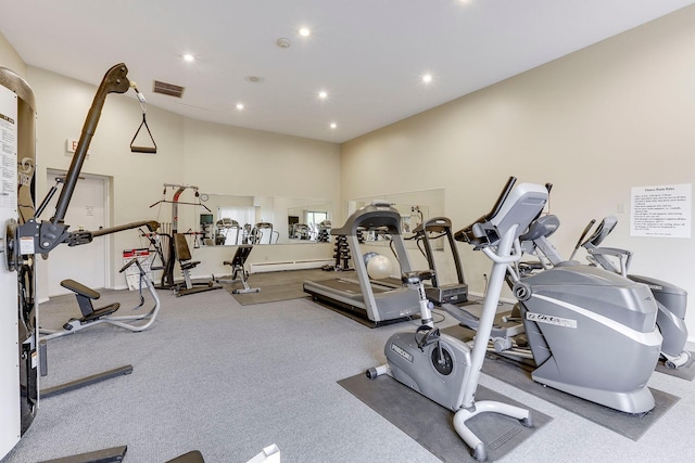 3412 Oak Ridge Rd Unit 317, Minnetonka, MN 55305 - exercise room with recessed lighting and a towering ceiling