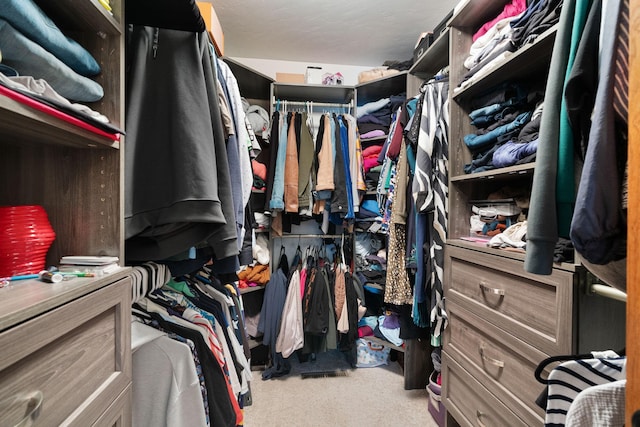 spacious closet with carpet floors