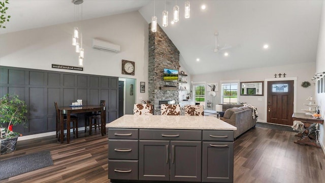 12911 Turtle Lake Ct SW, Lake Mary Twp, MN 56308 - kitchen with a wall mounted AC, a stone fireplace, high vaulted ceiling, dark wood-style flooring, and open floor plan
