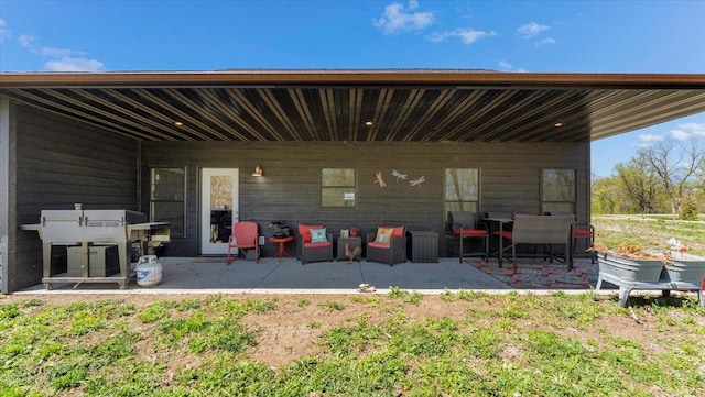 12911 Turtle Lake Ct SW, Lake Mary Twp, MN 56308 - view of patio / terrace