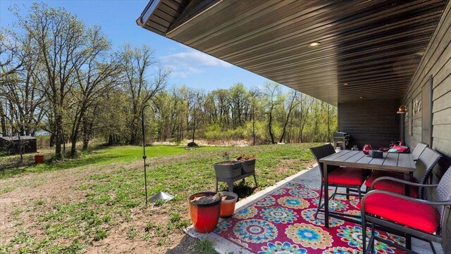 12911 Turtle Lake Ct SW, Lake Mary Twp, MN 56308 - view of green lawn featuring a patio area and outdoor dining space