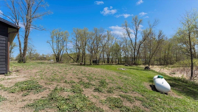 12911 Turtle Lake Ct SW, Lake Mary Twp, MN 56308 - view of yard