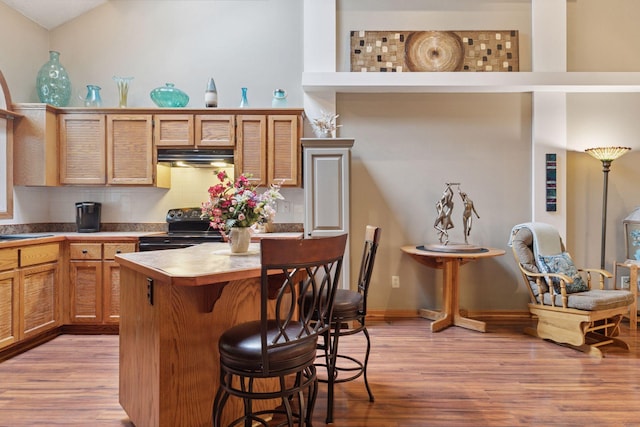 5662 Donegal Dr, Shoreview, MN 55126 - kitchen featuring a breakfast bar, light wood-style flooring, black electric range, and decorative backsplash