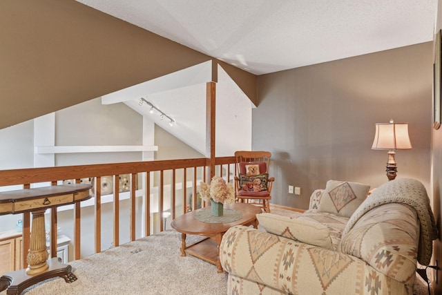 5662 Donegal Dr, Shoreview, MN 55126 - carpeted living room with track lighting
