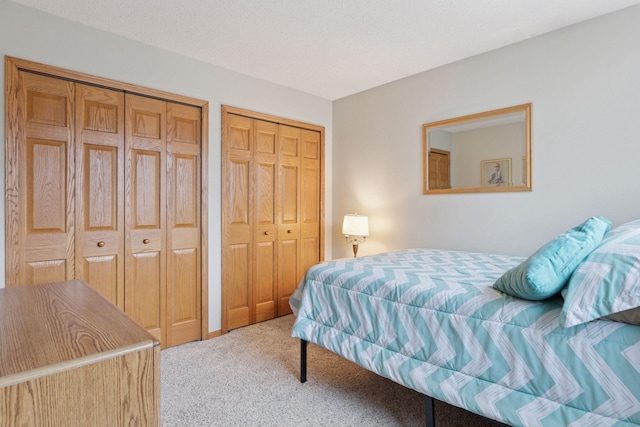 5662 Donegal Dr, Shoreview, MN 55126 - bedroom with multiple closets and carpet flooring