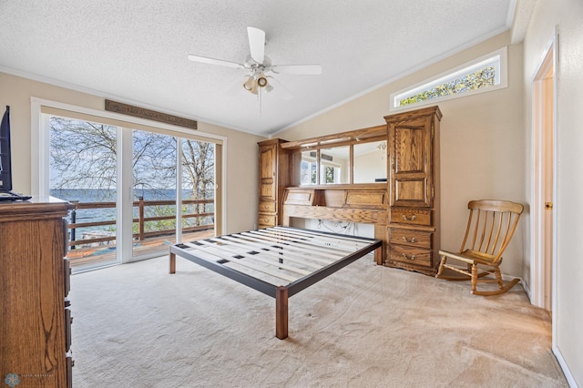 24295 Matson Point Trl, Lida Twp, MN 56572 - game room featuring light colored carpet, crown molding, a textured ceiling, healthy amount of natural light, and lofted ceiling