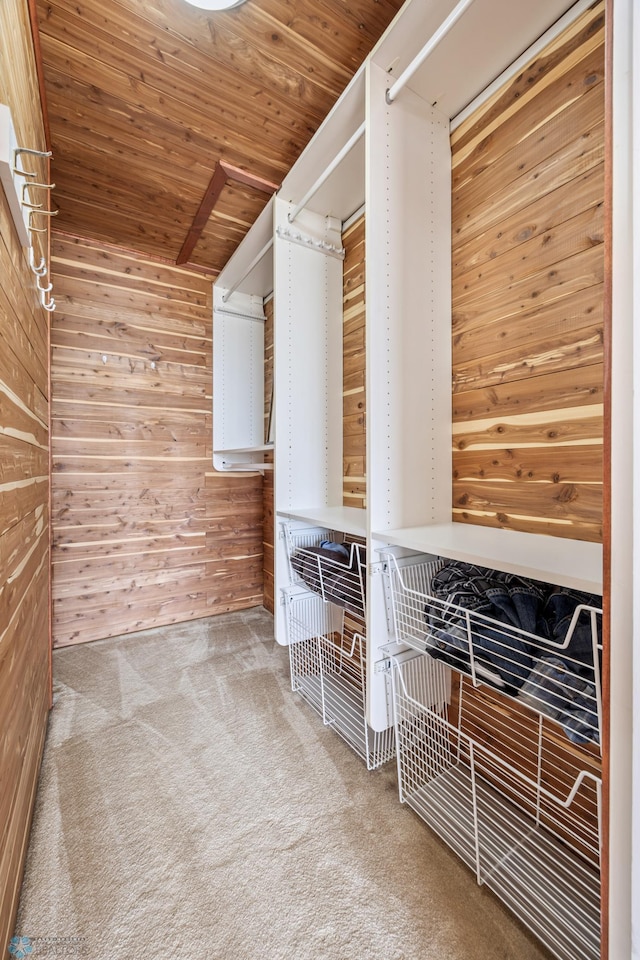 24295 Matson Point Trl, Lida Twp, MN 56572 - walk in closet featuring carpet floors