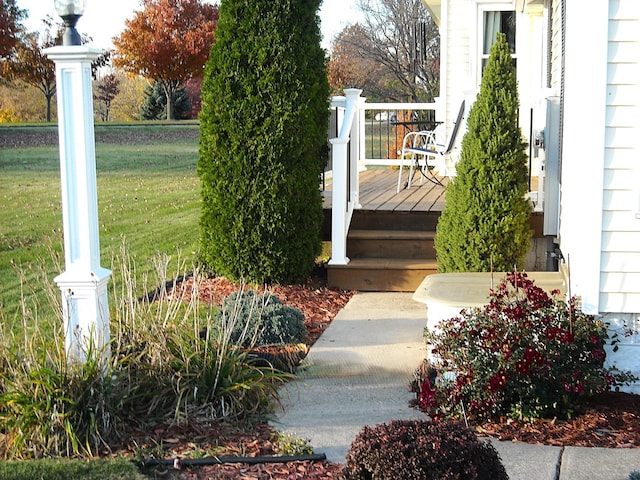 view of green lawn