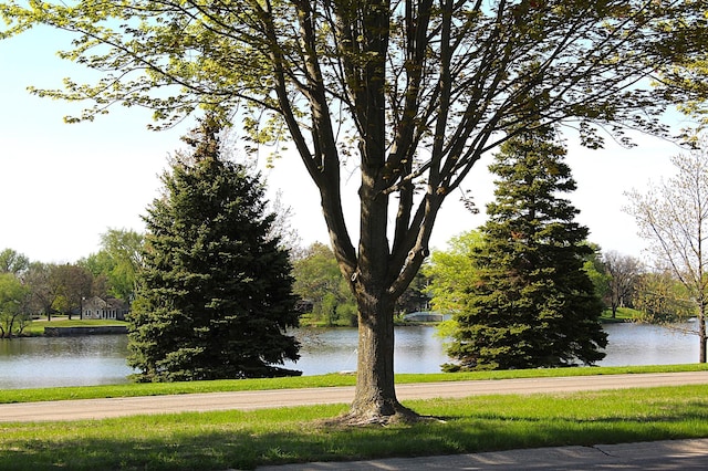 water view