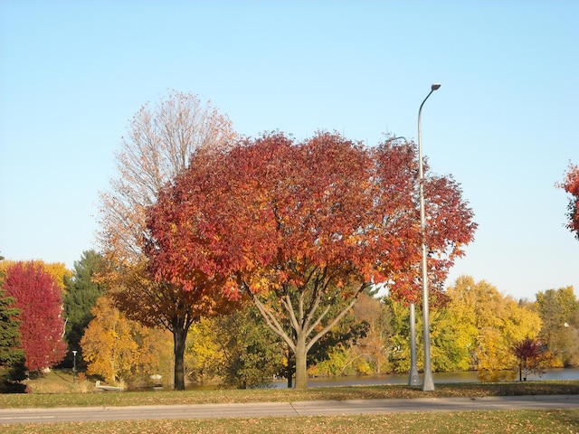 1609 1st Ave NE, Austin, MN 55912 - view of community