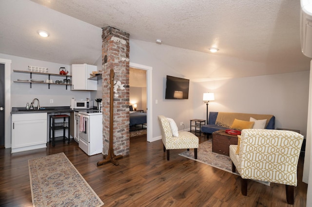 504 Buchanan St, Red Wing, MN 55066 - living area with lofted ceiling, decorative columns, a textured ceiling, dark wood-style floors, and bar with sink