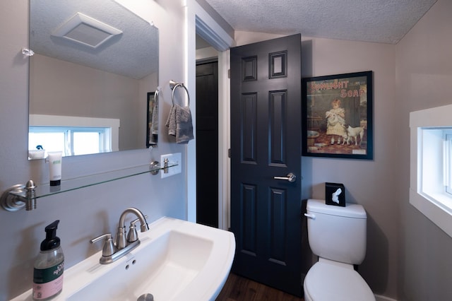 504 Buchanan St, Red Wing, MN 55066 - bathroom featuring a sink, a textured ceiling, wood finished floors, toilet, and vaulted ceiling