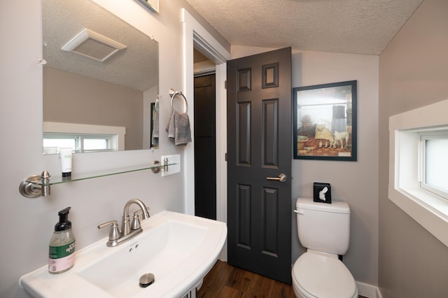 504 Buchanan St, Red Wing, MN 55066 - bathroom featuring a sink, a textured ceiling, plenty of natural light, toilet, and wood finished floors