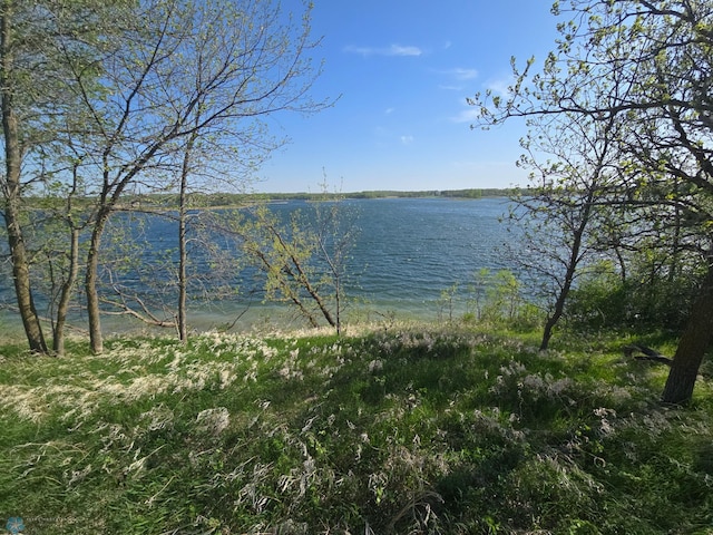 17228 Boyer Lake Rd, Lake Park, MN 56554