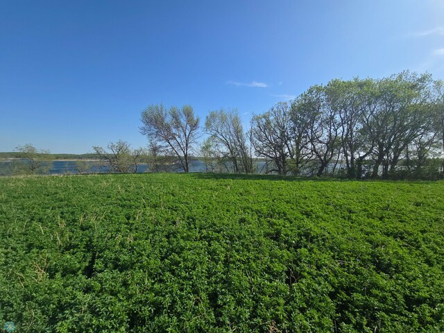 17228 Boyer Lake Rd, Lake Park, MN 56554