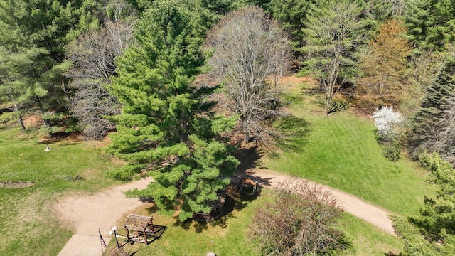 drone / aerial view