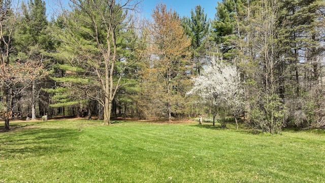 view of green lawn featuring a view of trees