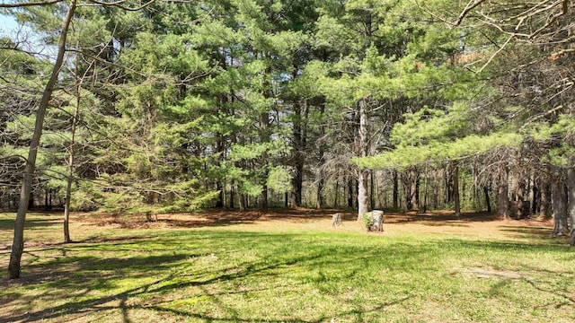 view of grassy yard featuring a wooded view