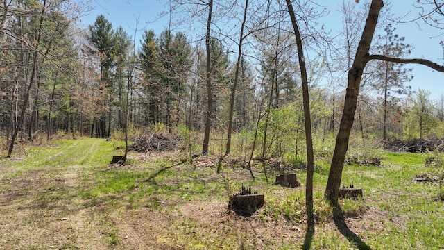 view of woods