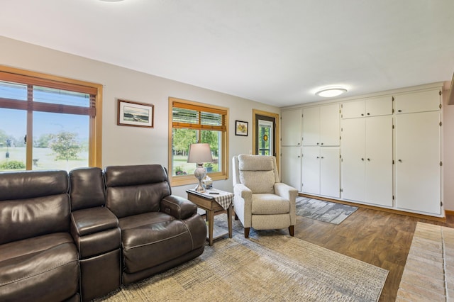 50 Lakeview Dr NW, Cokato, MN 55321 - living room featuring plenty of natural light and light wood-style floors