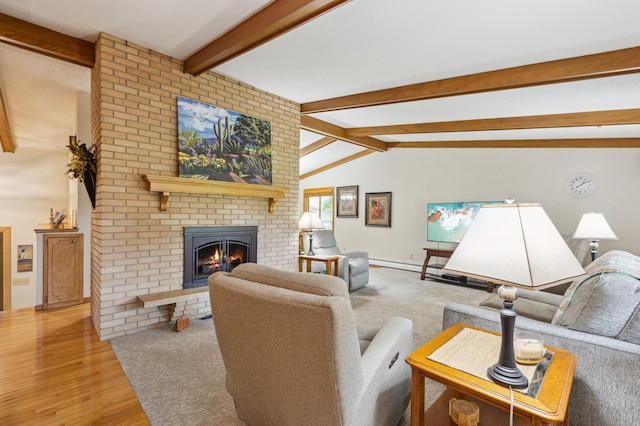 50 Lakeview Dr NW, Cokato, MN 55321 - living room featuring a fireplace and wood finished floors